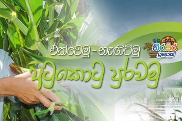 national food programme